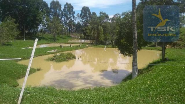 Fa0009 fazenda à venda, 605000 m² por r$ 3.150.000 - zona rural - quitandinha/pr - Foto 5