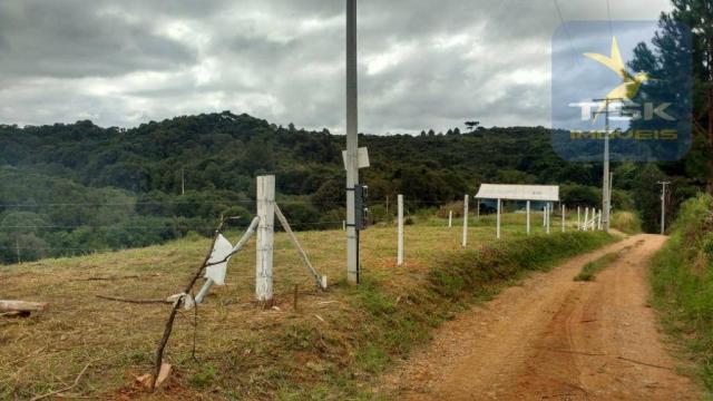 Ch0358 mandirituba 5.000 m², antes do pedágio, luz e riacho, cercada - Foto 8