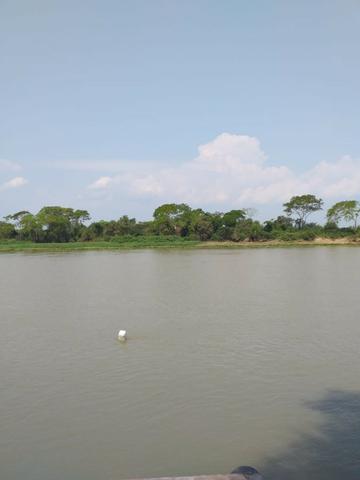 Vendo pesqueiro no Pantanal/Porto Jofre - Foto 14