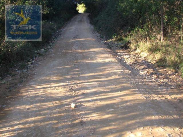 Ch0197 - área para formar chácara araucária - tietê 36.300 m² luz e água - Foto 8