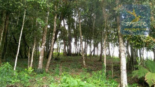 Ch0315 - são josé dos pinhais chácara 20.000 m² casa nova formada lago - Foto 15