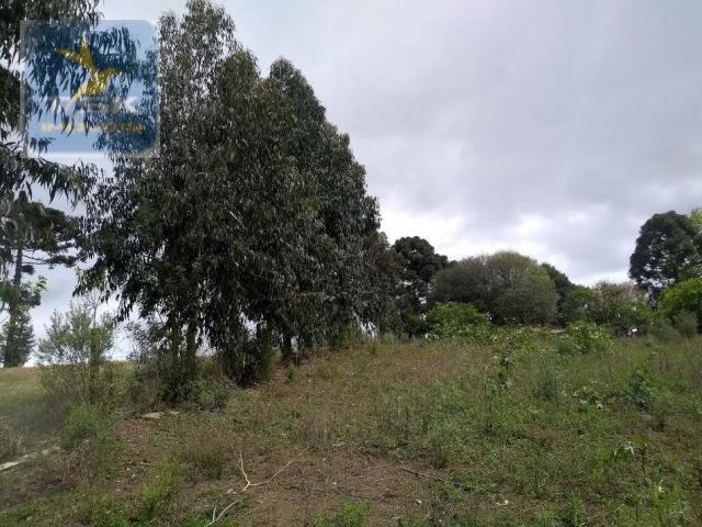 Ch0303 chácara/área industrial mandirituba 15.000 m² aceita chácara menor na troca perto d - Foto 4