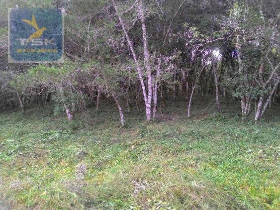 CH0300 - Chácara Agudos do Sul 12.100 m² 3 km da cidade - Foto 5