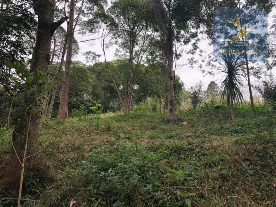 Chácara à venda, 6.957 m² por r$ 175.000 - barco - mandirituba/pr - Foto 15