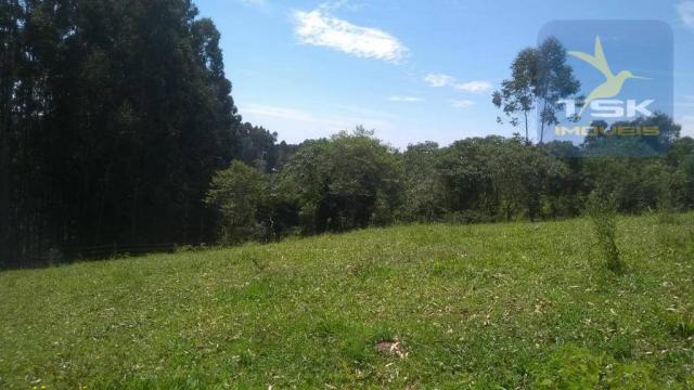 Fa0009 fazenda à venda, 605000 m² por r$ 3.150.000 - zona rural - quitandinha/pr - Foto 16