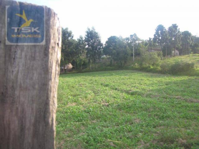 Te0023 agudos do sul - 6 lotes de 337,50 m² cada oportunidade perto da cidade
