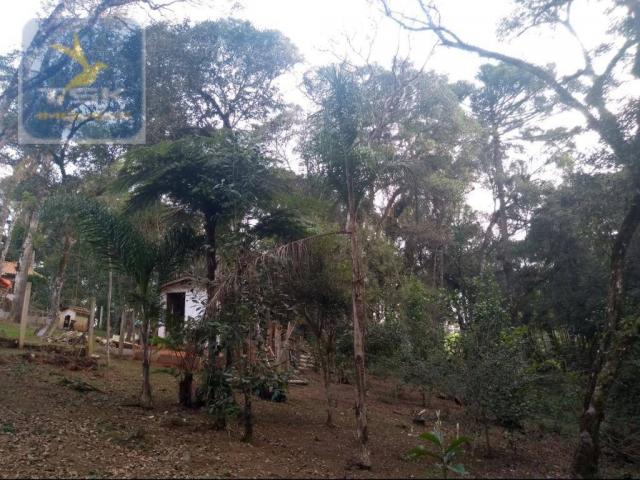 Ch0308 - mandirituba chácara 10.000 m² antes do pedágio com ótima casa - Foto 13