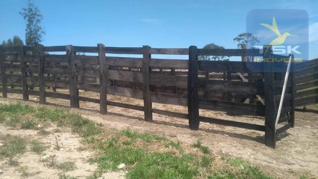 Fa0009 fazenda à venda, 605000 m² por r$ 3.150.000 - zona rural - quitandinha/pr - Foto 9