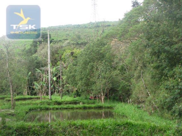 São josé dos pinhais chácara 15.000 m² aqui eu vou ficar ch0159 - Foto 18