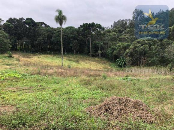Chácara à venda, 6.957 m² por r$ 175.000 - barco - mandirituba/pr - Foto 19