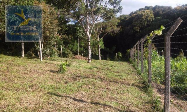 Ch0190 mandirituba chácara 4.400 m² vendo ou troco lugar bom de conhecer - Foto 7