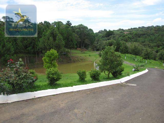 Quatro barras área industrial - 96.000 m² localização estratégica ar0021