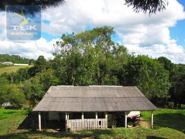 Ch0137 - chácara mandirituba 1 alq. 32 km de curitiba - Foto 20