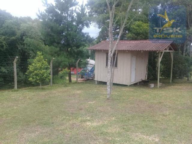 Ch0190 mandirituba chácara 4.400 m² vendo ou troco lugar bom de conhecer - Foto 12