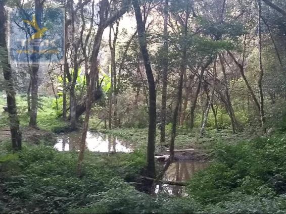 Ch0308 - mandirituba chácara 10.000 m² antes do pedágio com ótima casa - Foto 14