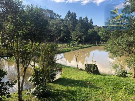 Chácara 4,75 alqueires por r$ 580.000 - centro - bocaiúva do sul/pr - Foto 7