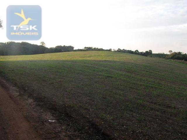 CH0187 - Contenda PR chácara 7,5 alqueires - Foto 11