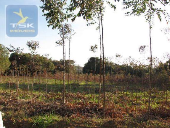 Ch0153 - contenda chácara 59.000 m² plana, rica em águas, parte com eucaliptos - Foto 3