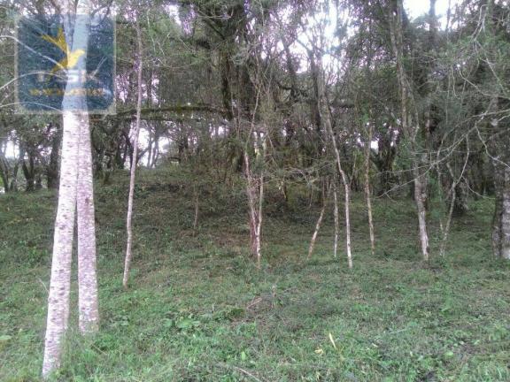 CH0300 - Chácara Agudos do Sul 12.100 m² 3 km da cidade - Foto 3