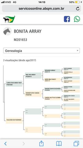 Vendo Egua QM de Vaquejada - Direita - Foto 2