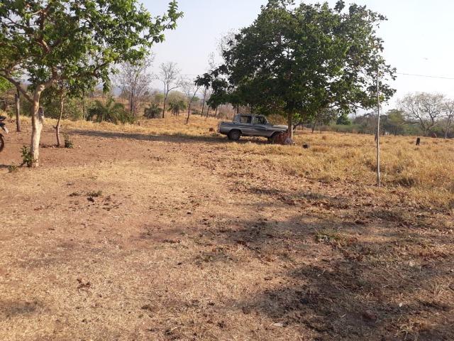 Vendo uma chácara, de 54 hectares em chapada - Foto 9