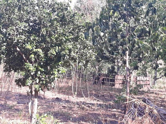 Vendo uma chácara, de 54 hectares em chapada - Foto 14
