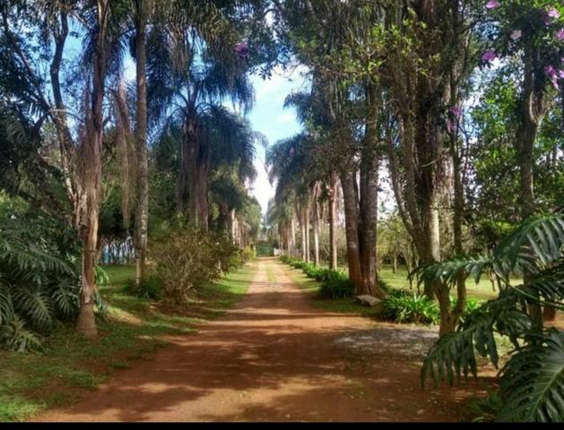 "Últimos terrenos! Venha garantir o seu - Foto 6