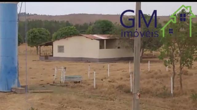 Excelente Rancho a venda / 14 Hectares / Planaltina de Góias - Foto 3