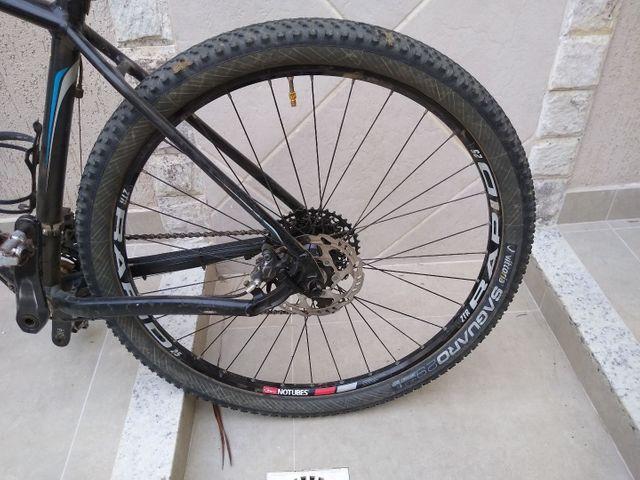 ztr rapid 29