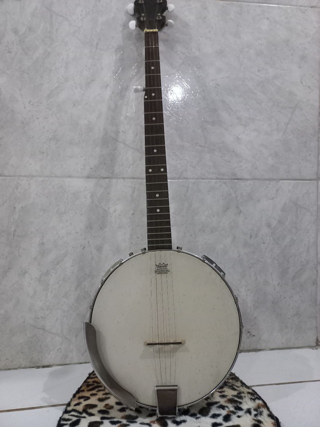 Banjo Americano - (Banjo 5 cordas)