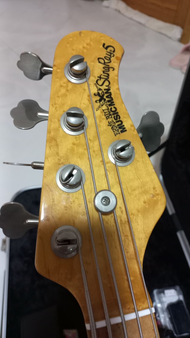 music man stingray 5 olx