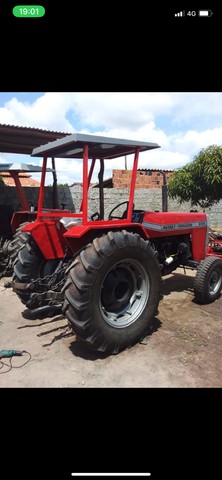 Trator massey 265 cafeeiro disfruteiro 