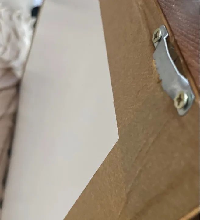 Quadro fotografico , nome : Entrelaçado . Sequoia. - Foto 5