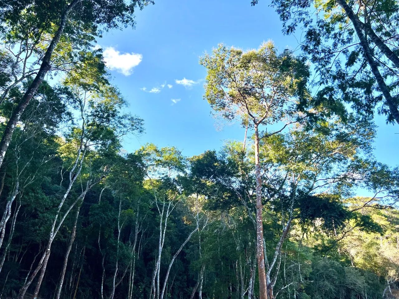 Ocasião, lindo Terreno em Santa Teresa, Circuito Caravaggio  - Foto 8