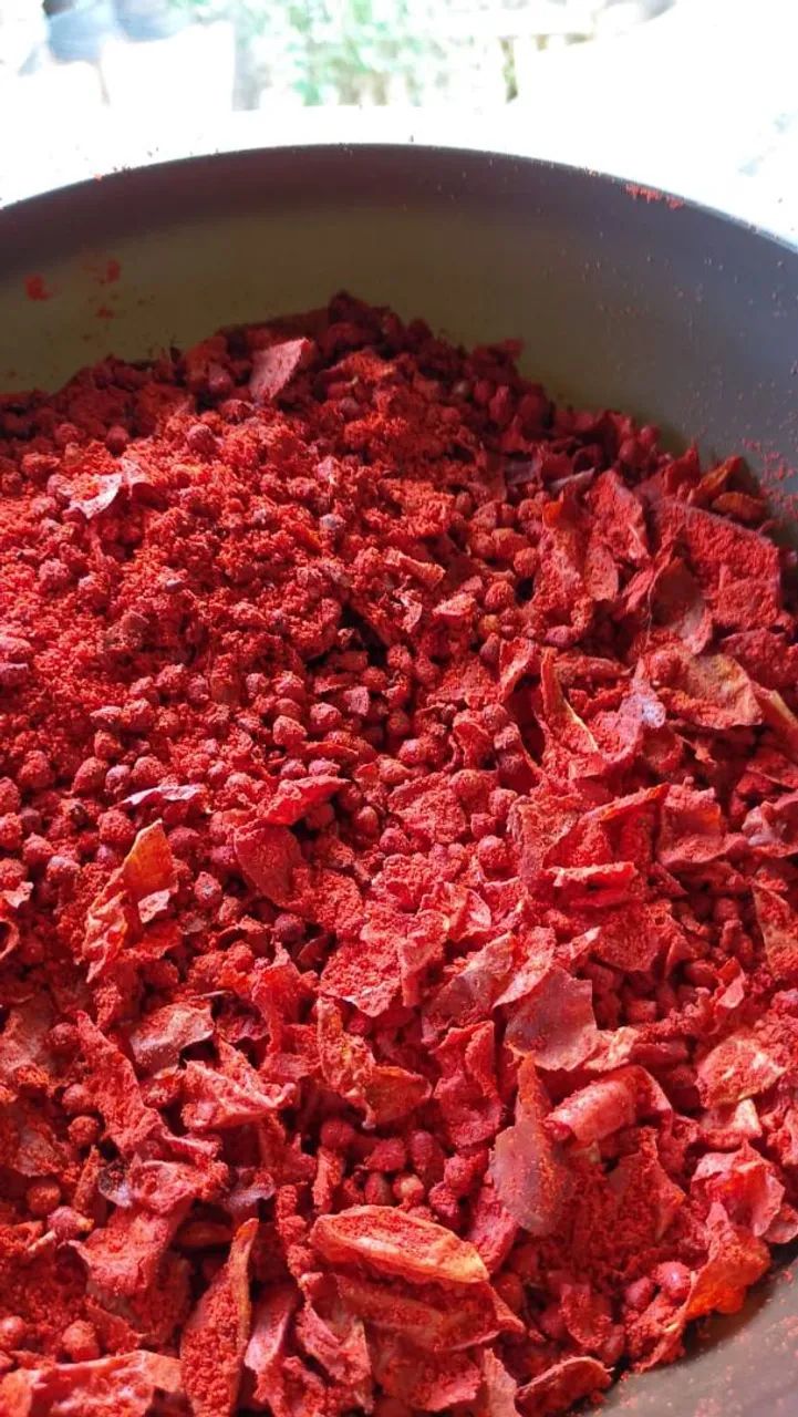 Mudas de colorau vermelho 