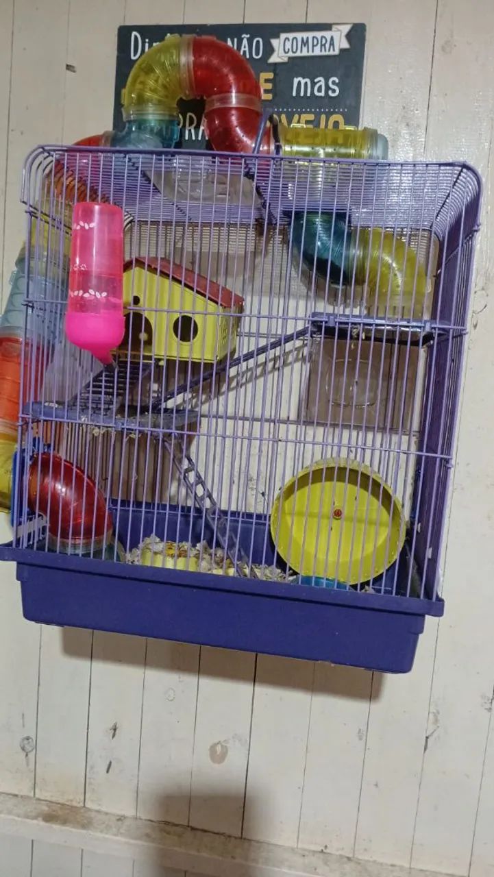 Casal de  hamister com a gaiola  - Foto 4