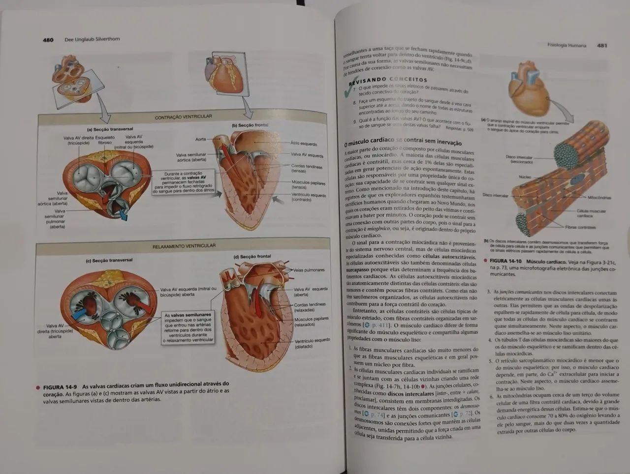 Fisiologia Humana 5ª edição - Dee Unglaub Silverthorn - Foto 2