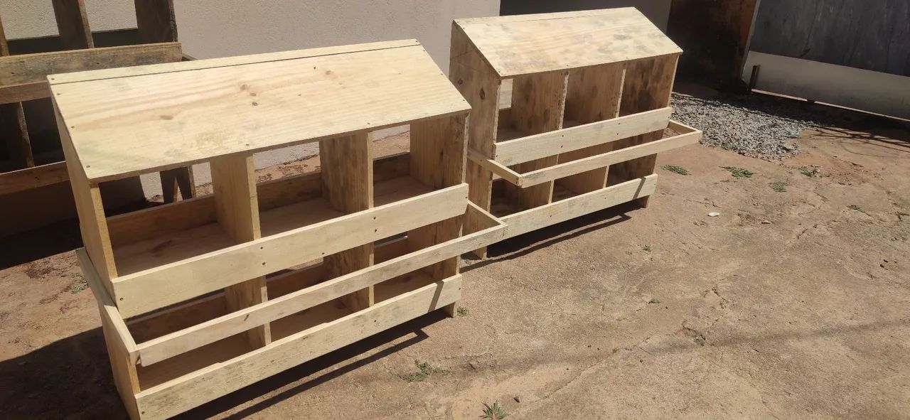 Ninho para galinhas 6 compartimentos 