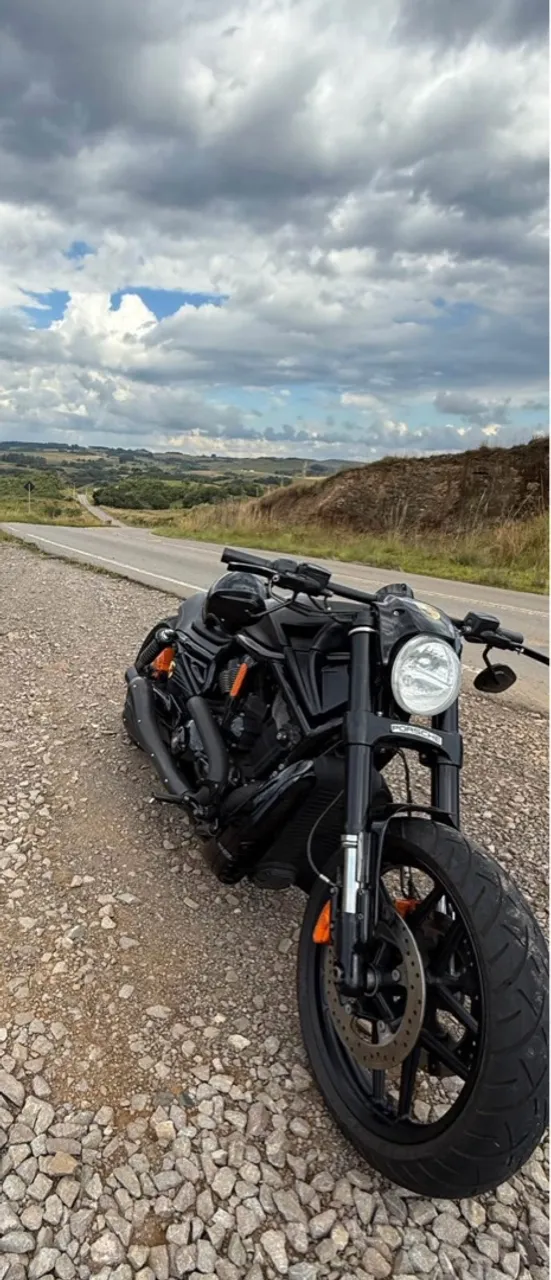 HARLEY DAVIDSON harley v rod muscle Used   the parking motorcycles