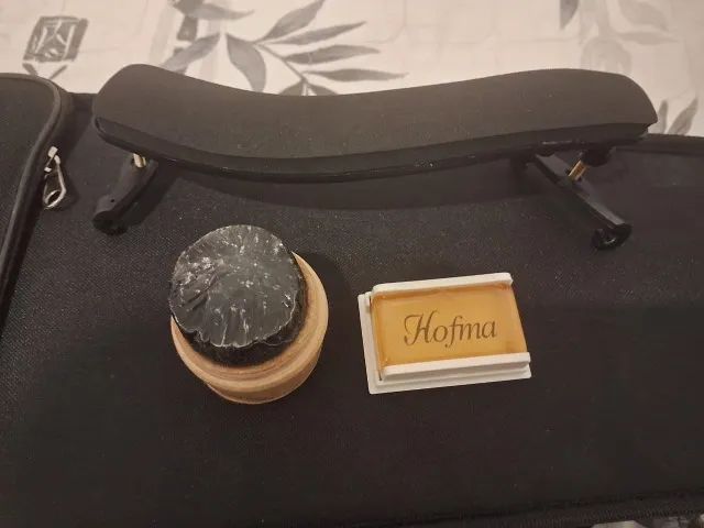 Violino 4/4 Hofma Eagle HVE241 ajustado por luthier (Novo) - Foto 6