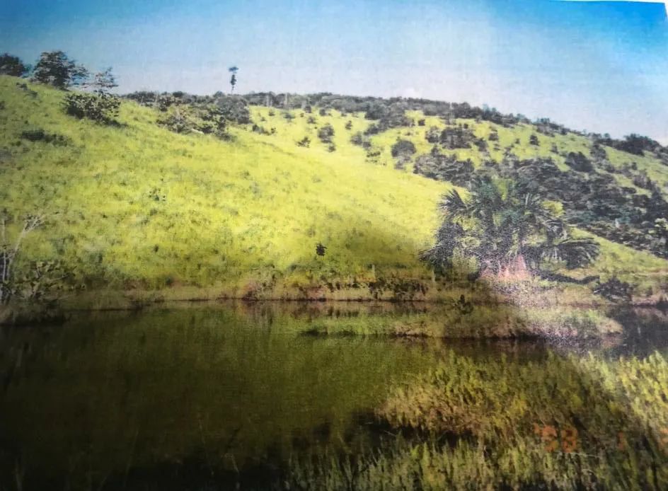 //Terreno com 270 hectares na BR 174 - Foto 5