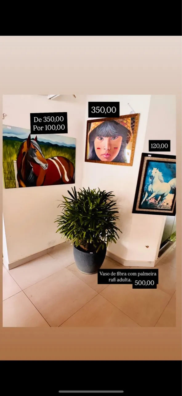 Vendo plantas vasos quadros