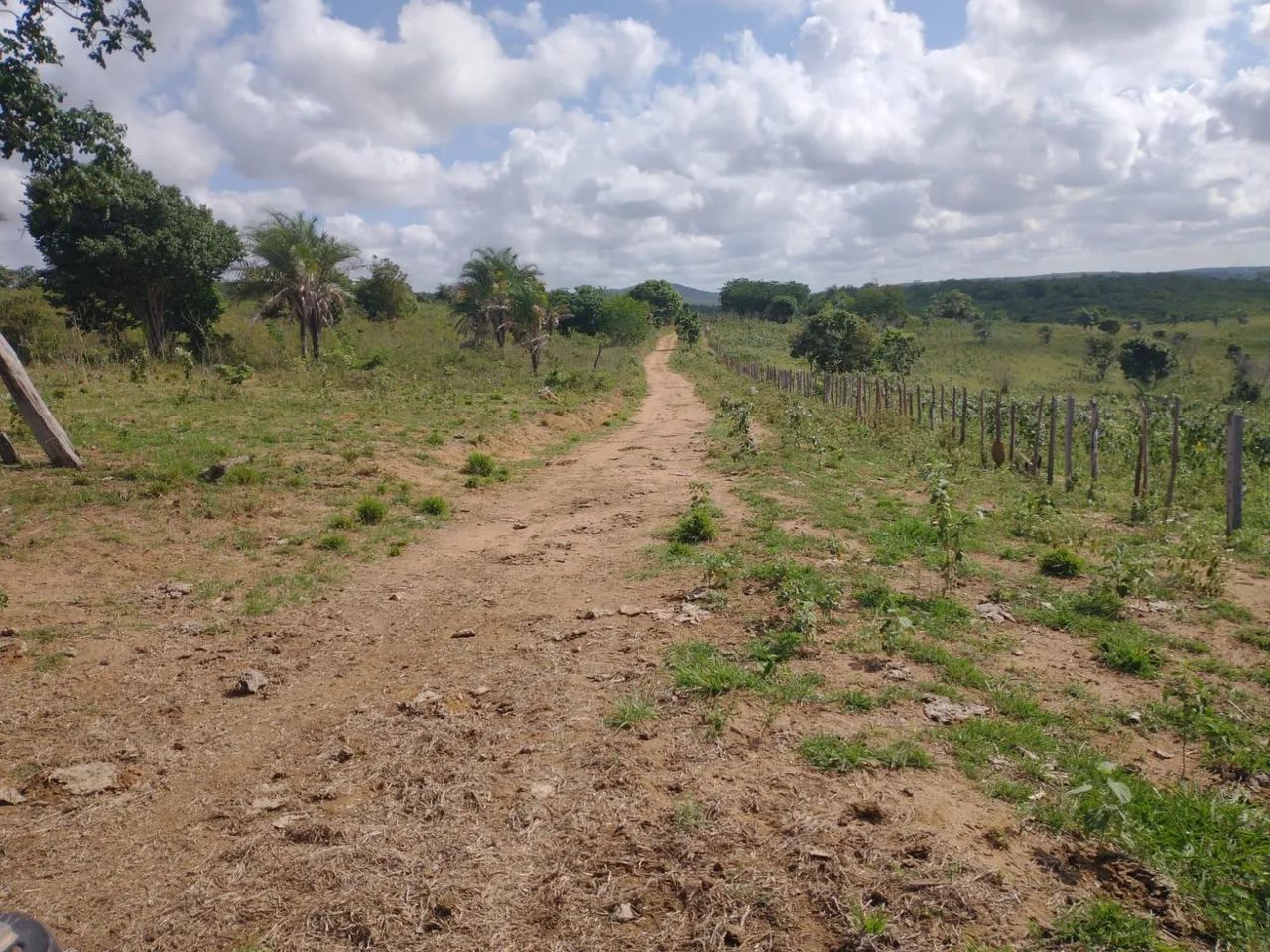 Fazenda em Macajuba