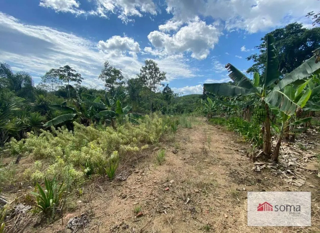 Terreno de chácara 10 mil m2