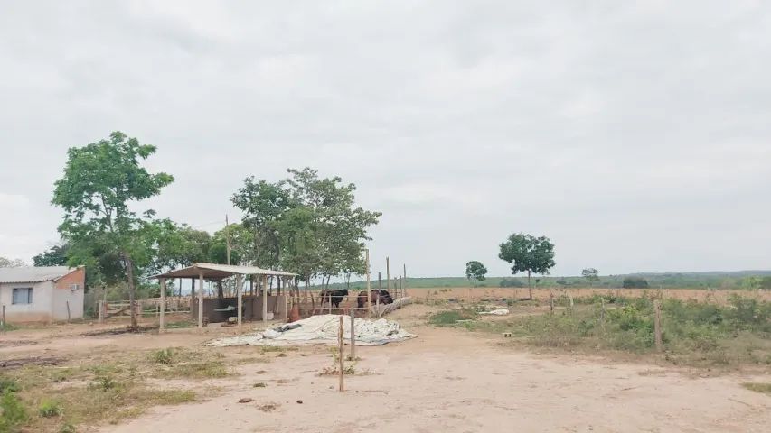 Roça do Brejo/Pompéu MG -  Fazenda de 80 hc  - Foto 2