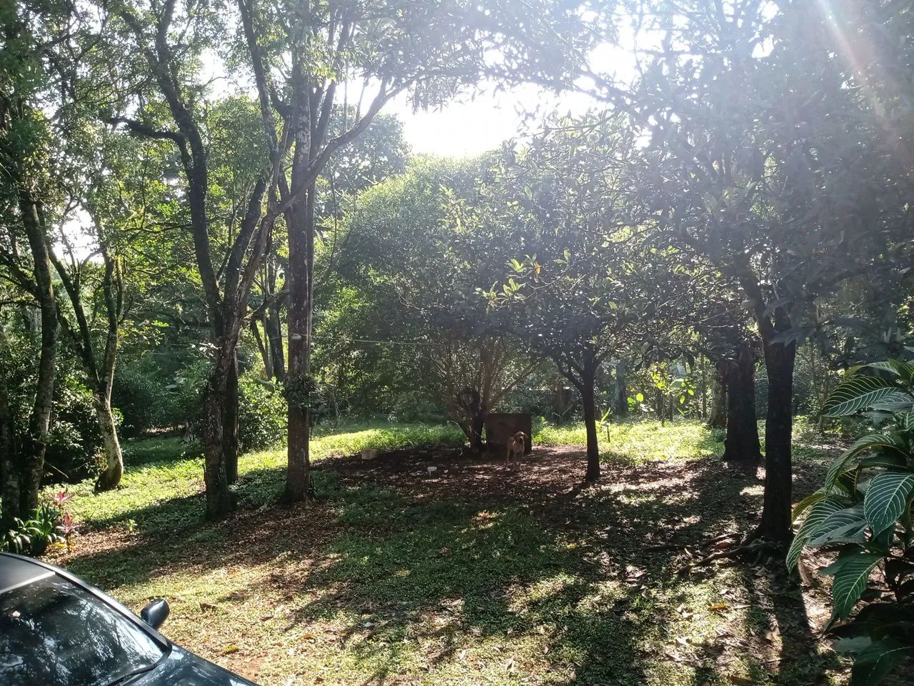 Vendo outro troco por casa - Foto 4