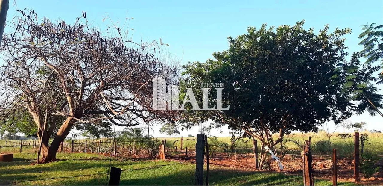 Sítio com 2 dorms, Centro, Indiaporã - R$ 2.34 mi, Cod: 15271