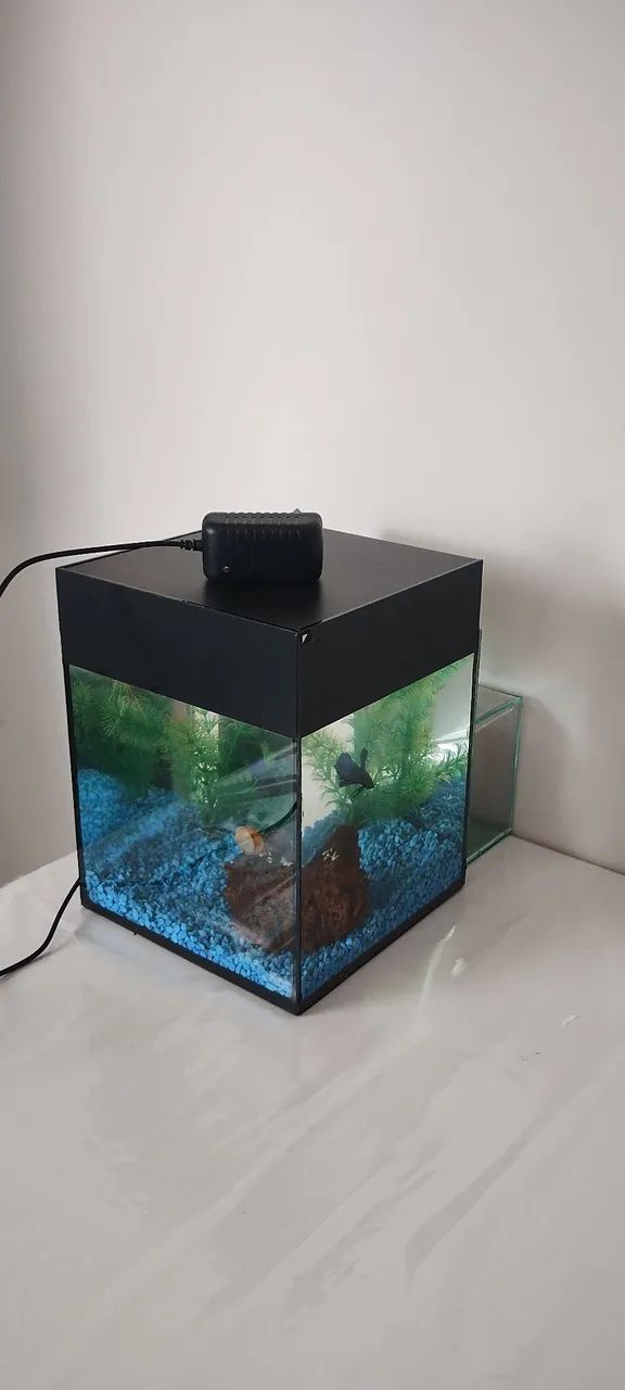 Aquário cubo 8L
