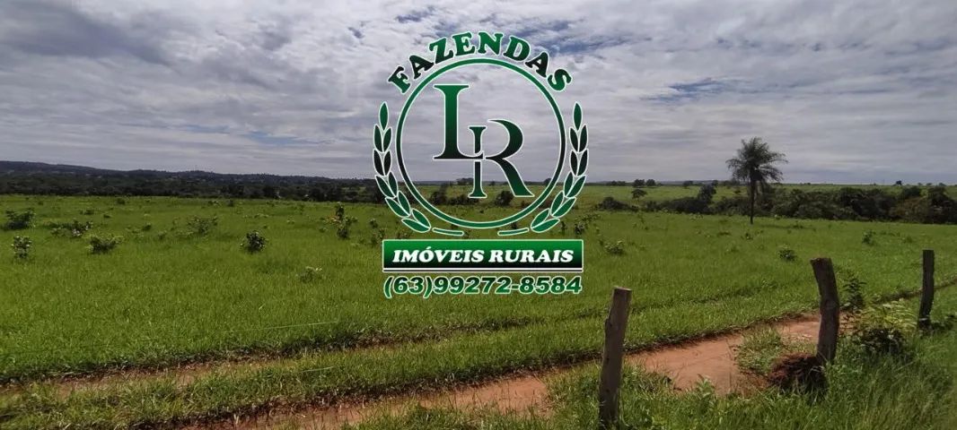 Fazenda/Chácara 31 Alqueires - Foto 5