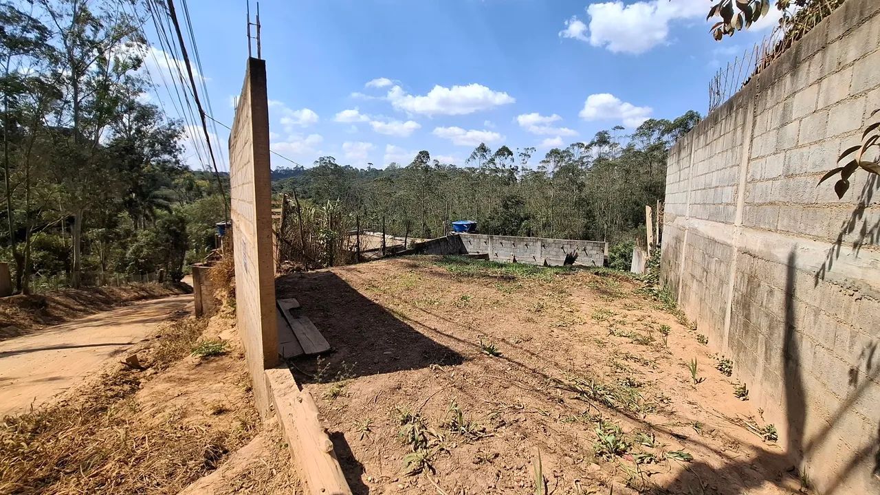Foto - Cotia - Ressaca